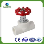 পারিবারিক সাজসজ্জা পিপিআর পাইপ ফিটিং পিপিআর পাইপ এবং ভালভ সংযোগ করার জন্য